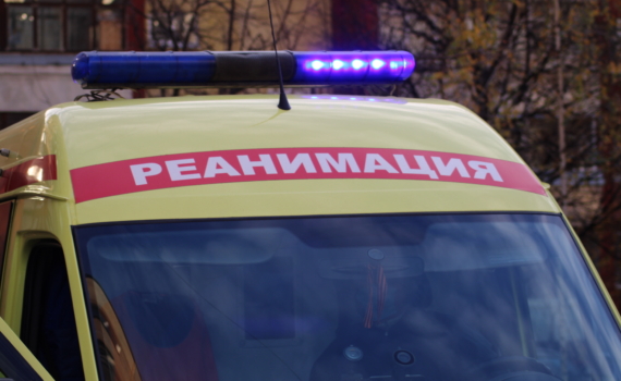 Смертельное лакомство: два маленьких брата умерли, сестра в реанимации после того, как дети наелись этих ягод