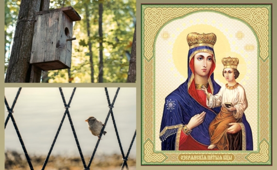 Что можно и нельзя 12 ноября в Синичкин день — молитва о здравии иконе Озерянская и кормушки для птиц