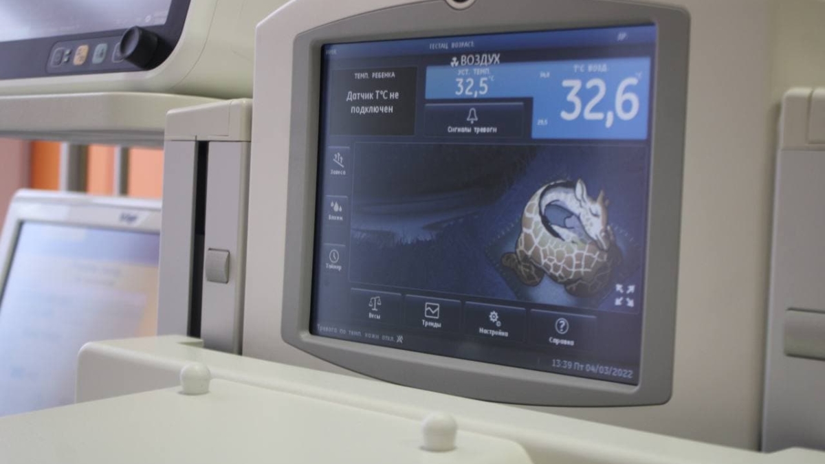 Архангельские медики спасают недоношенных детей, которые весят меньше 500 граммов ИА «Тульская пресса»