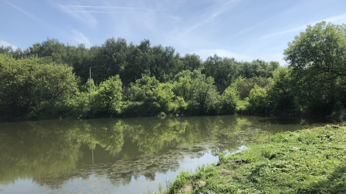 Губернатор Цыбульский рассказал о сотрудничестве РФ и КНР в освоении лесных ресурсов ИА SM-NEWS